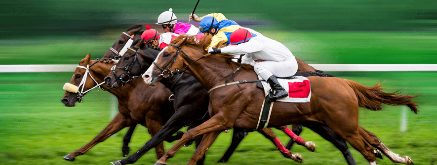 Tonybet: Jetzt neu mit Pferdewetten