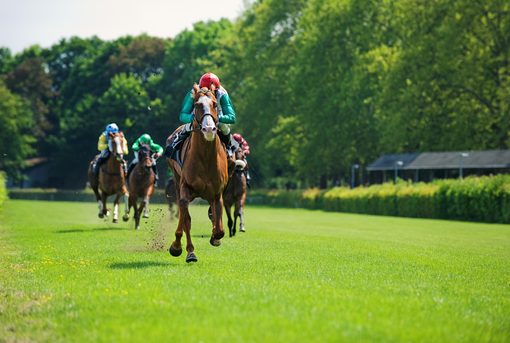 Nassau Stakes 2026: Favoritinnen, Analyse & Wett-Tipp zum Highlight am Ladies’ Day