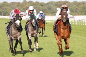 Pretty Polly Stakes 2026 am Curragh: Favoritin, Quoten & große Analyse