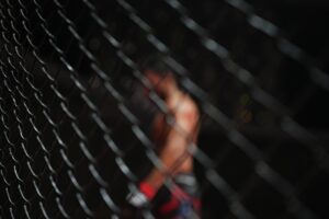 UFC Fight Night Baku 2026: Fiziev vs. Torres – TV-Übertragung, Favoriten, Quoten & große Analyse