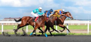 Dubai Criterion Stakes 2026 in York: Favoriten, Quoten & große Analyse