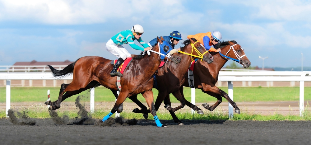 Dubai Criterion Stakes 2026 in York: Favoriten, Quoten & große Analyse