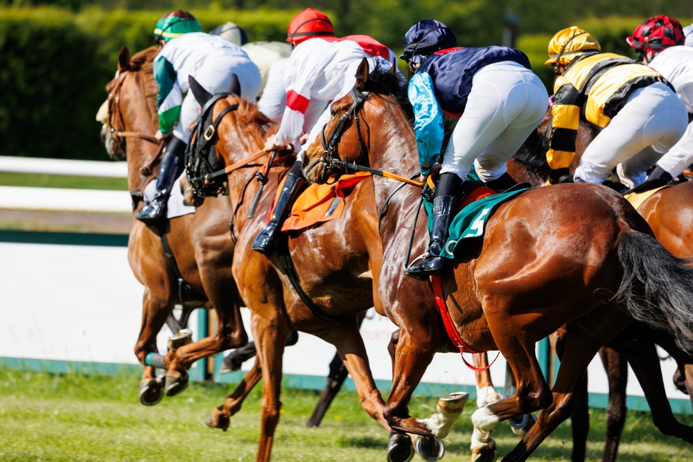 Northumberland Plate 2026 in Newcastle: Favoriten, Quoten & große Analyse