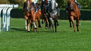 Nassau Stakes 2026 live: Wo läuft das Rennen im TV und Stream?