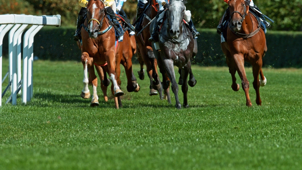 Nassau Stakes 2026 live: Wo läuft das Rennen im TV und Stream?