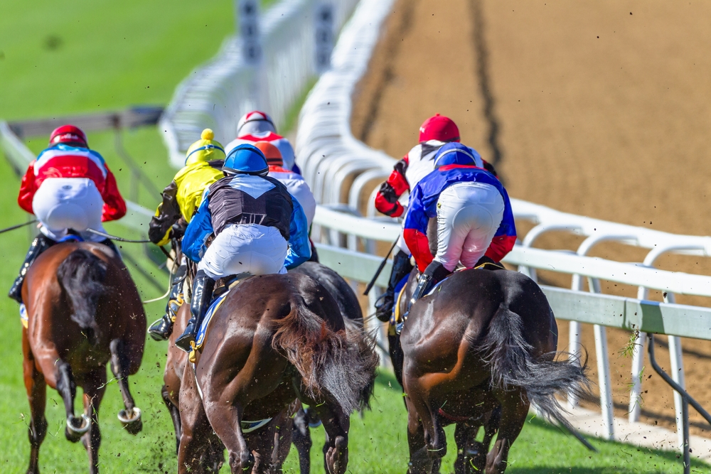 Stewards’ Cup 2026 live: Wo läuft das Rennen im TV und Stream?